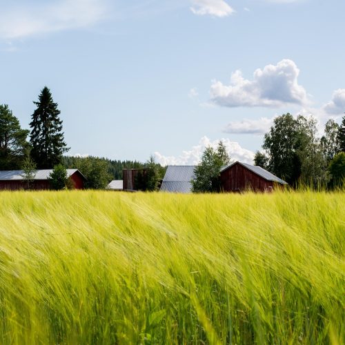 Eurajoki rekryyn